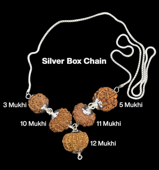 Rudraksha Combination for Navagraha Shanti 3,5,10,11,12 Mukhi Nepal In Silver Chain