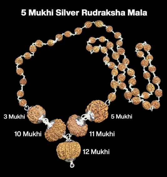 Rudraksha Combination for Navagraha Shanti 3,5,10,11,12 Mukhi Nepal In Silver Mala
