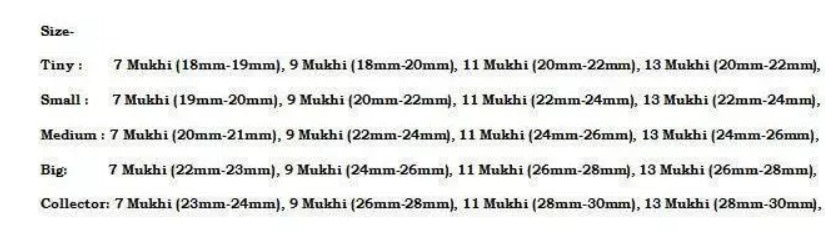 Rudraksha Combination for Wealth 7,9,11,13 Mukhi Nepal In Silver Chain