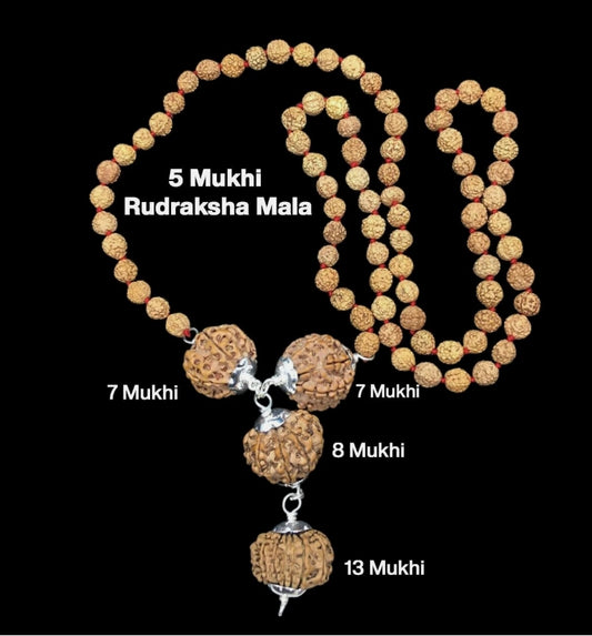 Rudraksha Combination For Business Power (Marketing & Trading) 7,7,8,13 Mukhi In Rudraksha Mala