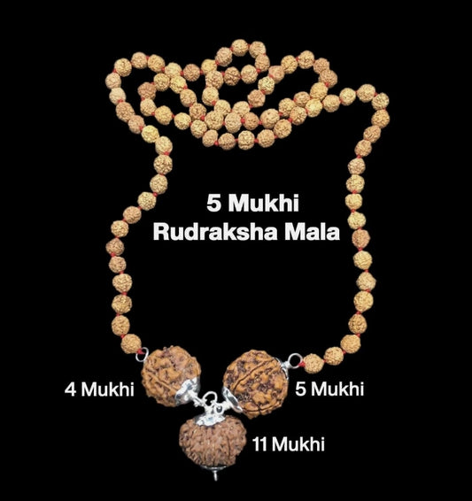 Rudraksha Combination for Hanuman Power 4,5,11 Mukhi Nepal In Rudraksha Mala