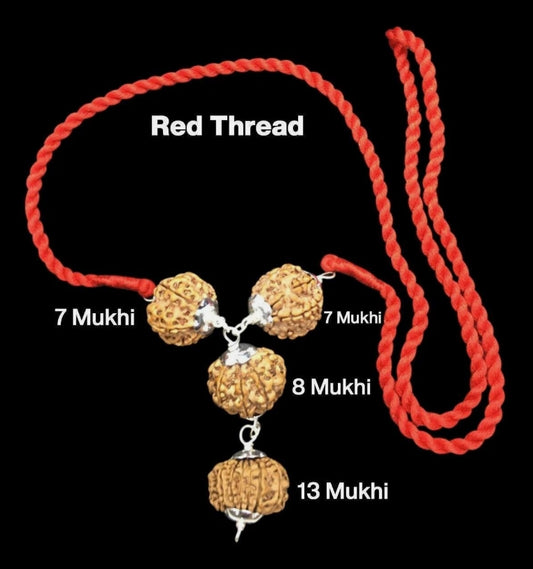 Rudraksha Combination For Business Power (Marketing & Trading) 7,7,8,13 Mukhi In Thread
