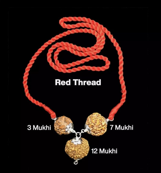 Rudraksha Combination For Career 3,7,12 Mukhi Nepal In Thread
