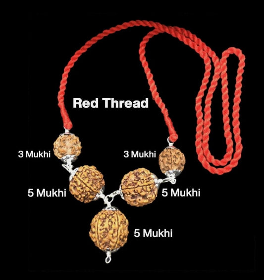 Rudraksha Combination for Health Power 3,3,5,5,5 Mukhi Nepal In Thread