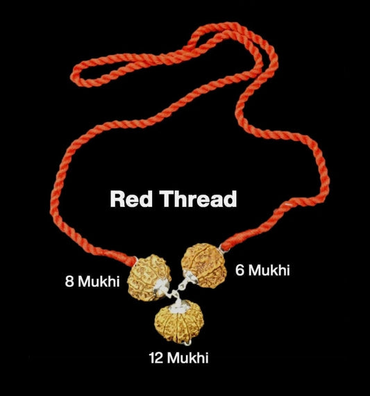 Rudraksha Combination for Business 6,8,12 Mukhi Nepal In Thread