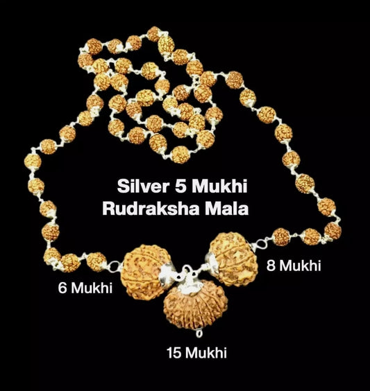 Rudraksha Combination for Business 6,8,15 Mukhi Nepal In Silver Mala