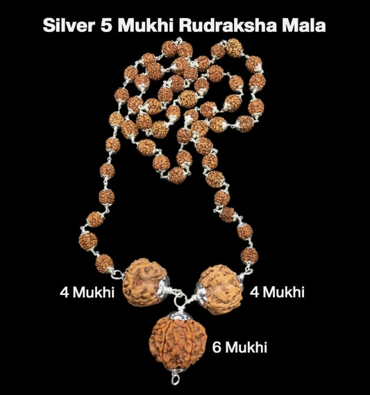 Rudraksha Combination for Students 4,4,6 Mukhi Nepal In Silver Mala