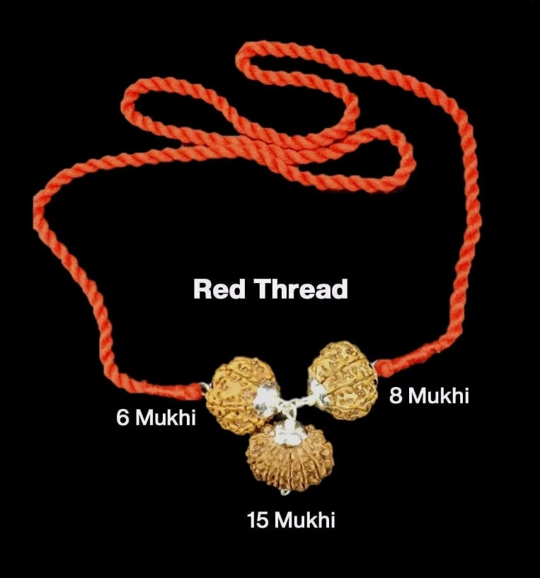Rudraksha Combination for Business 6,8,15 Mukhi Nepal In Thread