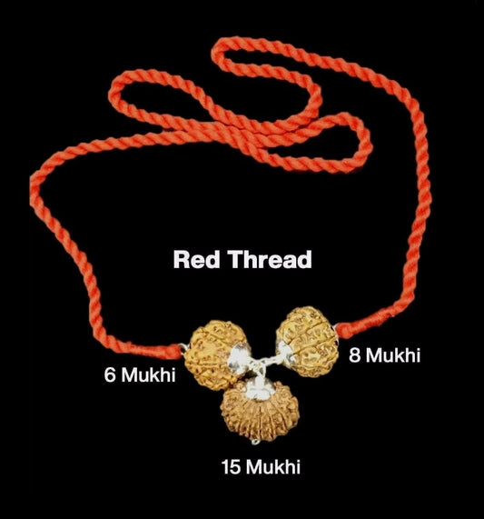 Rudraksha Combination for Business 6,8,15 Mukhi Nepal In Thread