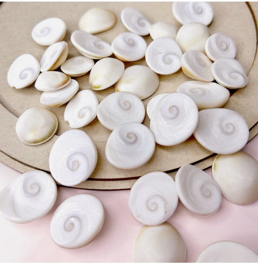 Natural Gomti Chakra / Shell Stones For Wealth & Puja Use.