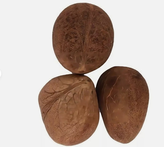 Dry Coconut Offering To Deities/ Symbol Of Purity/ Use As Prasadam For Puja Uses