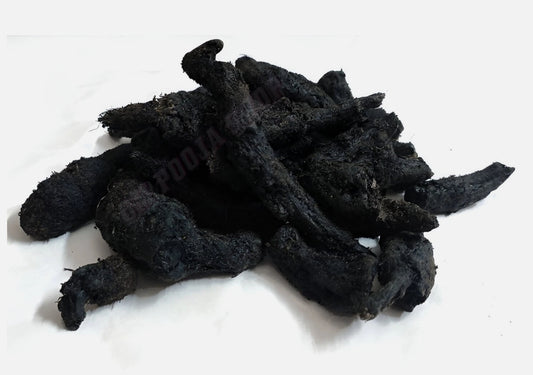 Black Tumeric(Kali Haldi) / Curcuma Caesia Enhance Spiritual Practices