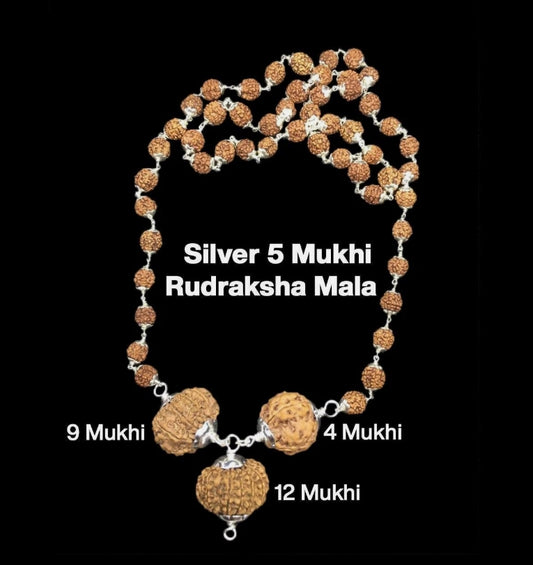 Rudraksha Combination for Doctors 4,9,12 Mukhi Nepal In Silver Mala