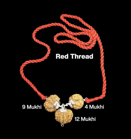 Rudraksha Combination for Doctors 4,9,12 Mukhi Nepal In Thread