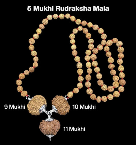 Rudraksha Combination for Total Protection 9,10,11 Mukhi Nepal In Rudraksha Mala