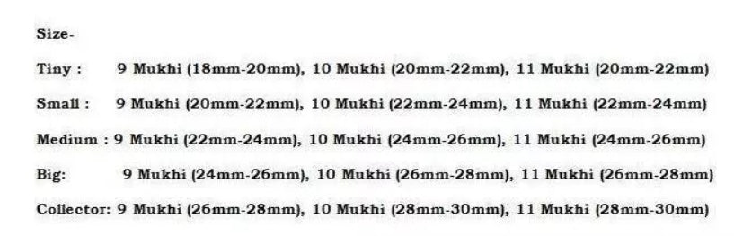 Rudraksha Combination for Total Protection 9,10,11 Mukhi Nepal In Rudraksha Mala