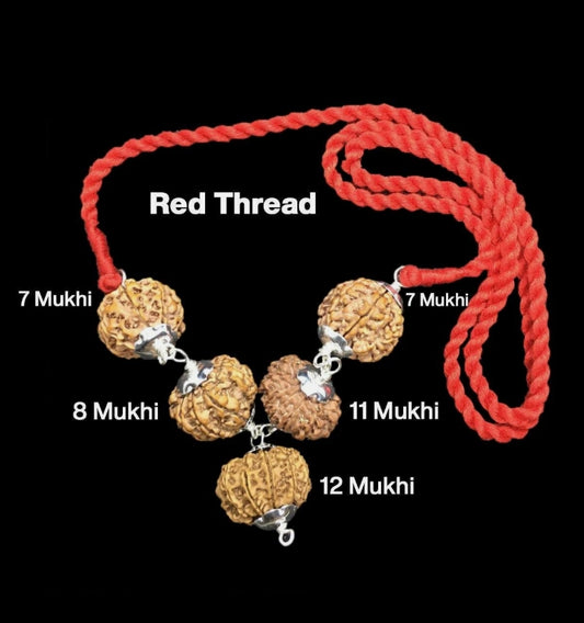 Rudraksha Combination Business Power (Executives & Businessmen) 7,7,8,11,12 Mukhi Nepal In Thread