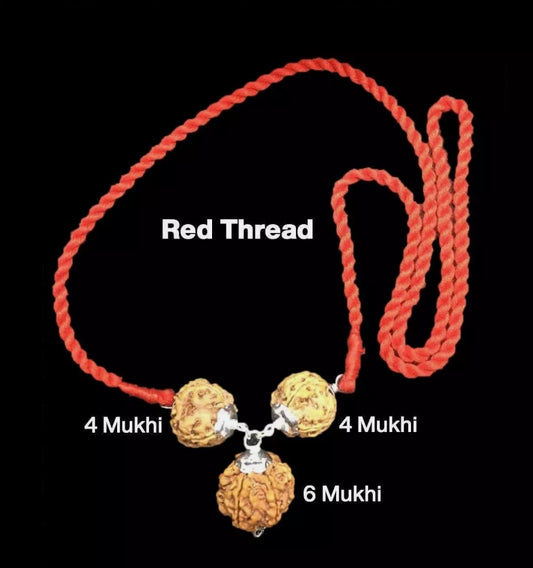 Rudraksha Combination for Students 4,4,6 Mukhi Nepal In Thread