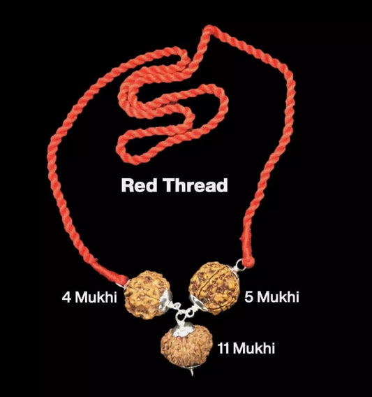 Rudraksha Combination for Hanuman Power 4,5,11 Mukhi Nepal In Thread