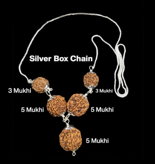 Rudraksha Combination for Health Power 3,3,5,5,5 Mukhi Nepal In Silver Chain