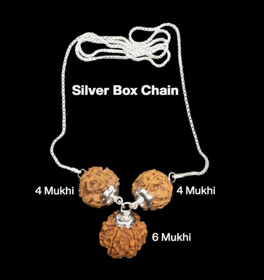 Rudraksha Combination for Students 4,4,6 Mukhi Nepal In Silver Chain