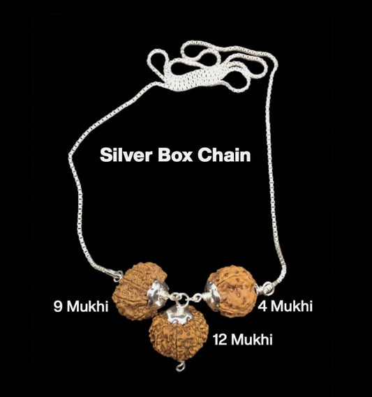 Rudraksha Combination for Doctors 4,9,12 Mukhi Nepal In Silver Chain