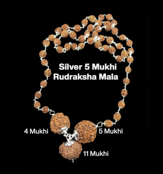 Rudraksha Combination for Wisdom 4,5,11 Mukhi Nepal In Silver Rudraksha Mala