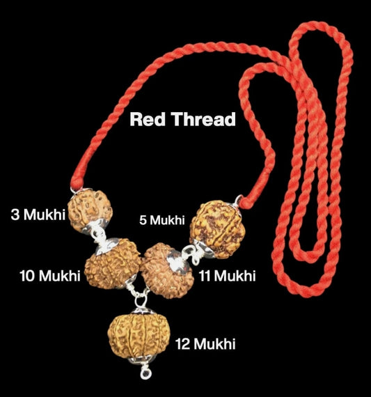 Rudraksha Combination for Navagraha Shanti 3,5,10,11,12 Mukhi Nepal In Thread