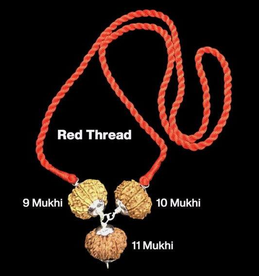 Rudraksha Combination for Total Protection 9,10,11 Mukhi Nepal In Thread