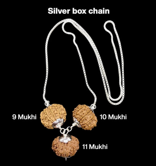 Rudraksha Combination for Total Protection 9,10,11 Mukhi Nepal In Silver Chain