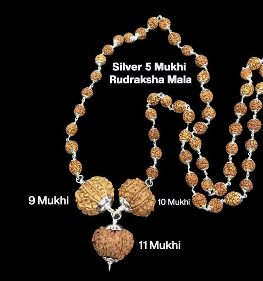 Rudraksha Combination for Total Protection 9,10,11 Mukhi Nepal In Silver Rudraksha Mala