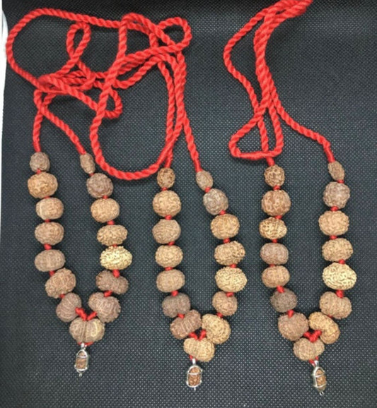 Indonesian Siddha Mala (1-14 Mukhi,Ganesh,Gaurishankar) Medium Size