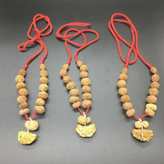 Indonesian Siddha Mala (1-14 Mukhi,Ganesh,Gaurishankar) Medium Size