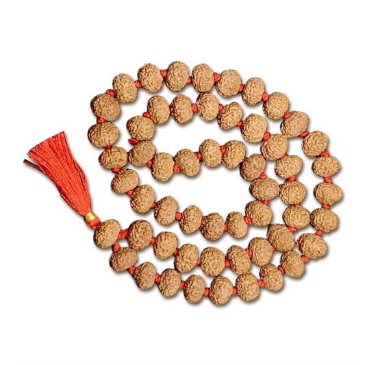 8 Mukhi Indonesian Rudraksha Mala 54 Beads (12mm-14mm)