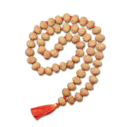7 Mukhi Indonesian Rudraksha Mala 54 Beads (12mm-14mm)