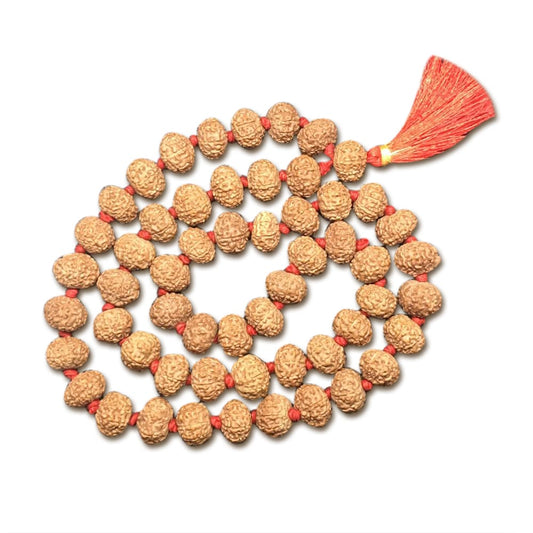 9 Mukhi Indonesian Rudraksha Mala 54 Beads (12mm-14mm)
