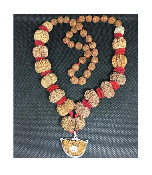 Nepal Siddha Mala (1-14 Mukhi,Ganesh,Gaurishankar) Medium Size